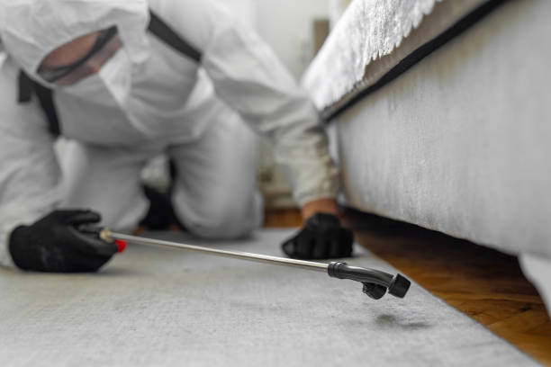 Professional Pest Control technician working in Mahinahina, HI