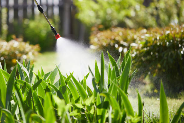 24/7 Emergency Rodent Control experts in Mahinahina, HI