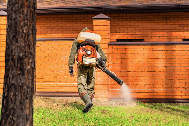 Trusted Mosquito Control service in Mahinahina, HI - Nex Pest Control